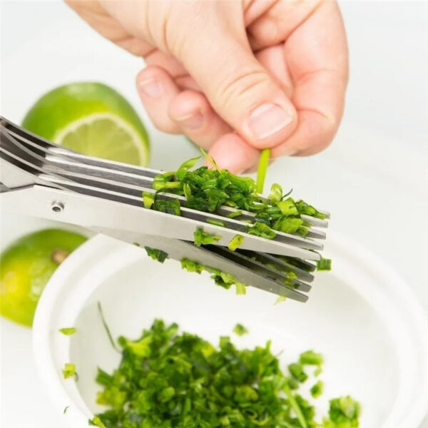 Multifunctional Multi-layer Green Onion Scissors Stainless Steel Onion Cutting Knife Herb Seaweed Spice Scissors Kitchen Scissor Kitchen Gadgets - Image 2